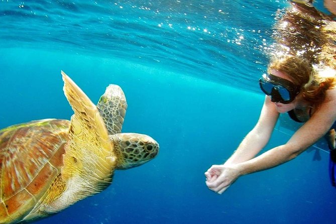 Best Snorkeling Trip at Blue Lagoon Bali - Blue Lagoon: a pretty first look at Bali’s reef