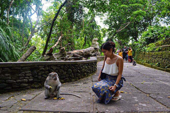 Best Ubud Highlights - Private Day Tour - Tegalalang Rice Terrace and the Subak system