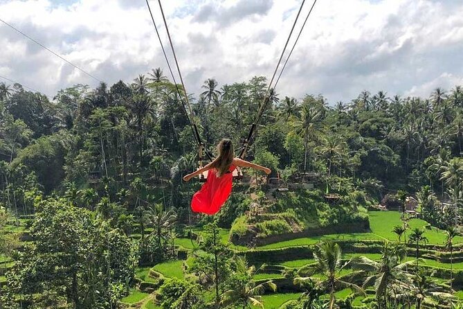 Best Ubud Tour Private Tour All Inclusive Package - Starting at Tegalalang Rice Terraces