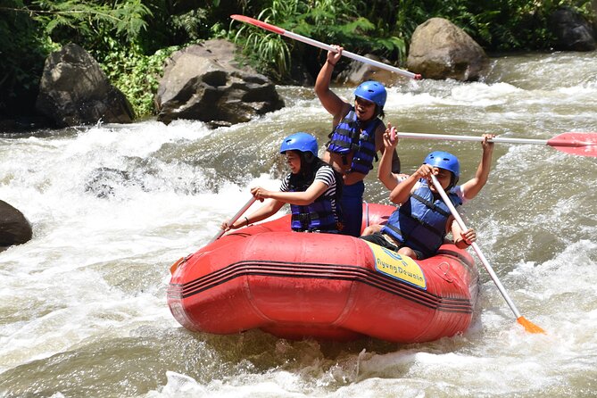 Best White Water Rafting & Lunch, Ubud - Why the Ayung River is a good Ubud adventure