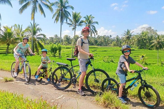 Bike ride in the rice fields, Bali countryside - Key Details Before You Book