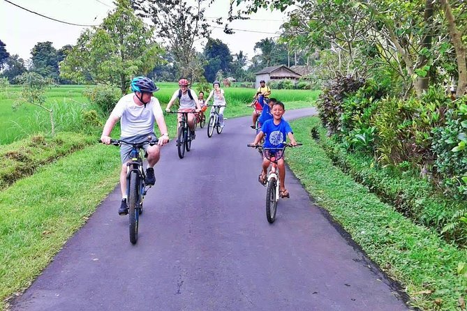Bike ride in the rice fields, Bali countryside - A Coconut Break Before the Final Stretch