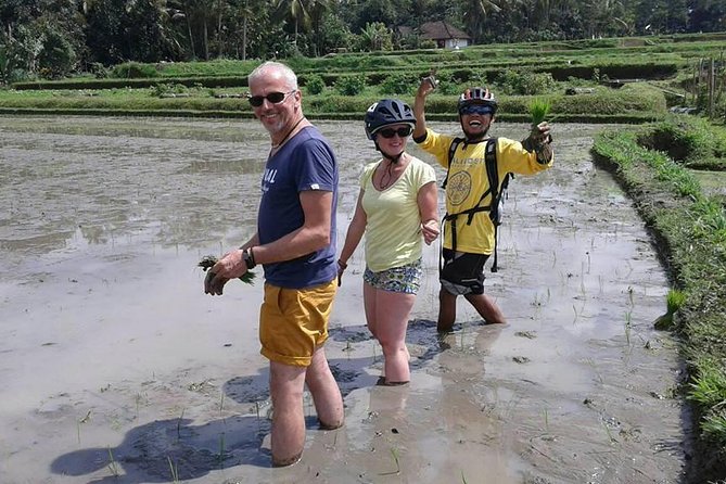Bike ride in the rice fields, Bali countryside - Ending With Local Lunch Beside the River