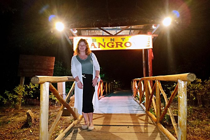 Bintan Fireflies Discovery Tour - Arriving at Bintan Resorts after sunset