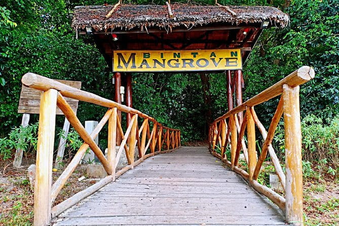 Bintan Island Snorkeling, Kayaking and Fun Fishing Activity - Fun fishing keeps the schedule varied