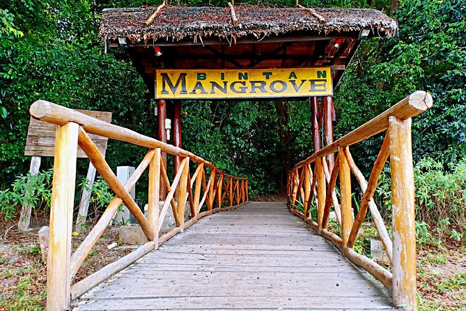 Bintan Mangrove Discovery Tour - Key details before you book