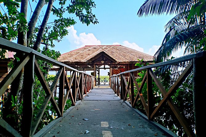 Bintan Mangrove Discovery Tour - What happens during the 90-minute boat ride