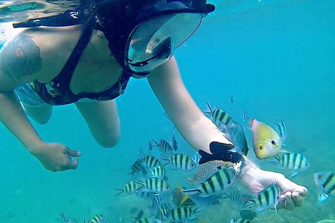 Bintan Snorkeling Tour - Leaving Lagoi for Trikora Beach