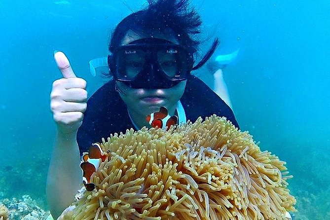Bintan Snorkeling Tour - Kayaking, fishing, swimming, and platform jumps