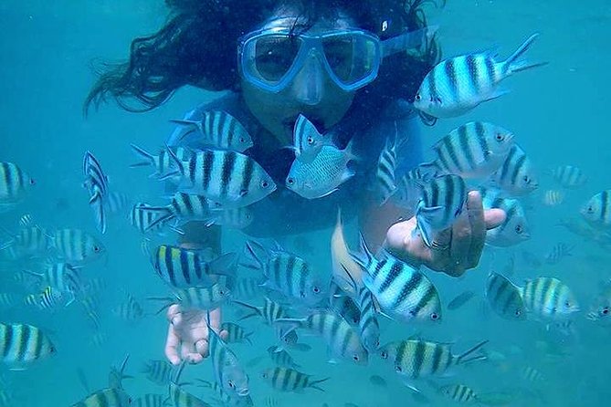 Bintan Snorkeling Tour - Photos, refreshments, and the small comforts
