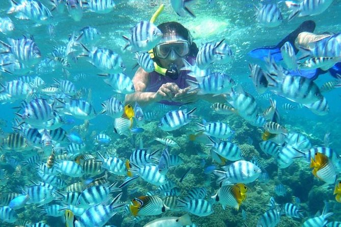 Bloo Lagoon Snorkeling East Bali Includes Transportation & Lunch - Lunch, showers, and the useful comforts