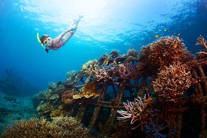 Bloo Lagoon Snorkeling East Bali Includes Transportation & Lunch - The optional Gates of Heaven upgrade