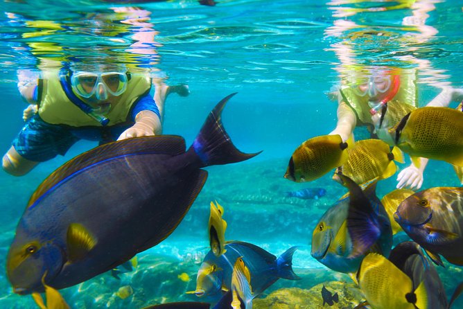 Bloo Lagoon Snorkeling East Bali Includes Transportation & Lunch - Safety and comfort for different ages
