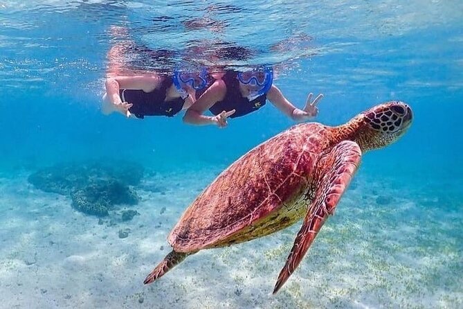 Bloo Lagoon Snorkeling East Bali Includes Transportation & Lunch - What happens at Blue Lagoon Beach