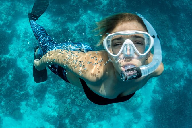 Blue Lagoon Bali Snorkeling Experience - Adding Ubud’s rice terraces and Monkey Forest