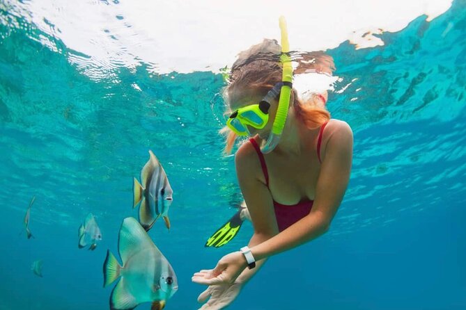 Blue Lagoon Snorkeling and Lunch - Ubud Monkey Forest - Waterfall - Starting at Padangbai for the morning boat