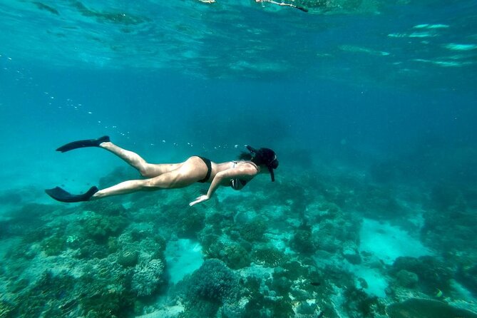 Blue Lagoon Snorkeling and Lunch - Ubud Monkey Forest - Waterfall - What the $48 price really covers
