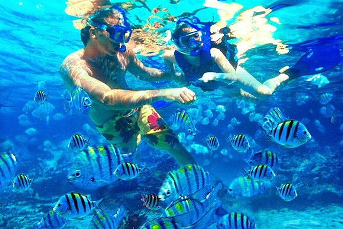 Blue Lagoon Snorkeling and Lunch - Ubud Monkey Forest - Waterfall - Practical ways to make the day better