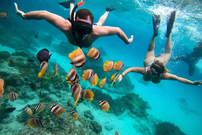 Blue Lagoon Snorkeling and Lunch - Ubud Monkey Forest - Waterfall - Blue Lagoon and Tanjung Jepun: two hours in the water