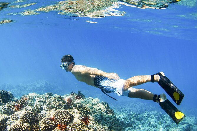 Blue Lagoon Snorkeling and Lunch with Private Transfer - Tibumana Waterfall, a quieter finish