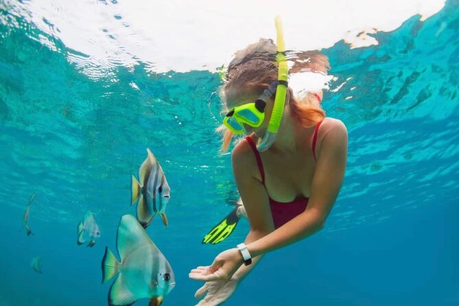 Blue Lagoon Snorkeling and Lunch with Private Transfer - What the $48 price really covers