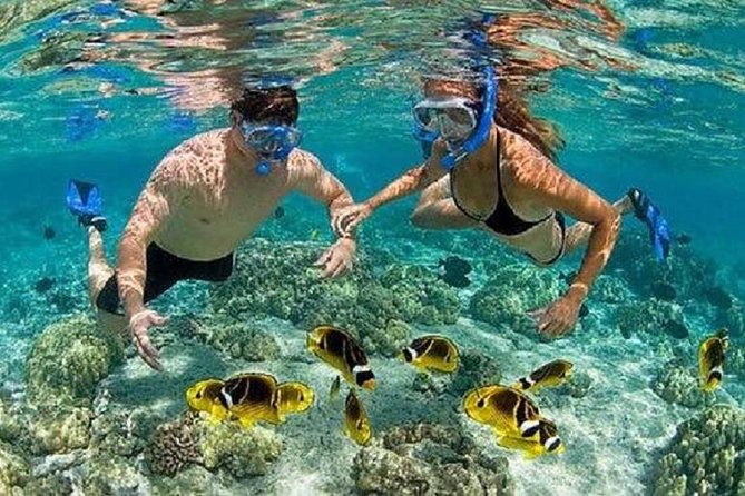 Blue Lagoon Snorkeling and Lunch with Visit Tegenungn Waterfall in Ubud - Why this makes a useful Bali day trip