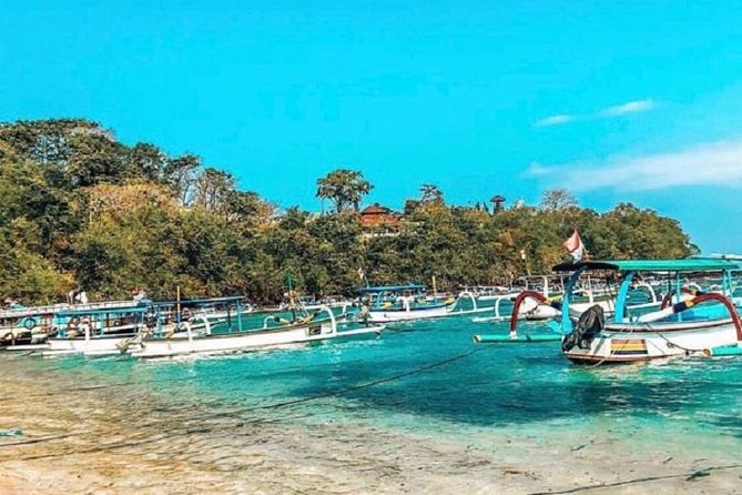 Blue Lagoon Snorkeling and Lunch with Visit Tegenungn Waterfall in Ubud - What the private format really changes
