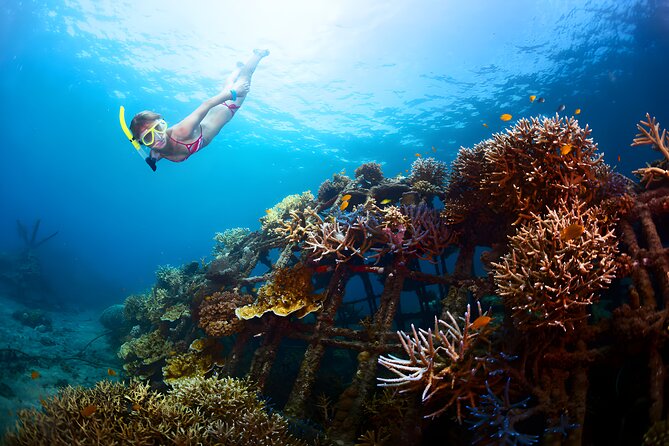 Blue Lagoon Snorkeling and Uluwatu Sunset Tour - Lunch gives the day a needed pause