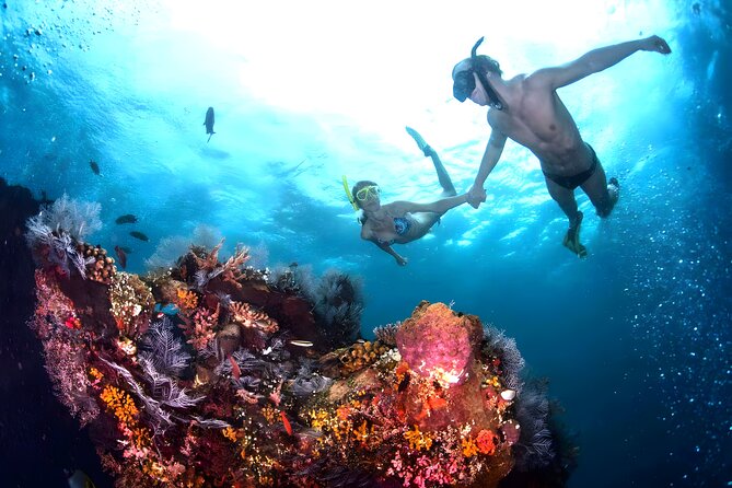 Blue Lagoon Snorkeling - Bali Best Snorkeling Site - Why Blue Lagoon suits first-time snorkelers