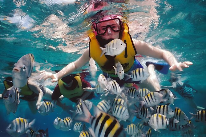 Blue Lagoon Snorkeling - Bali Best Snorkeling Site - Is $65 a fair price?
