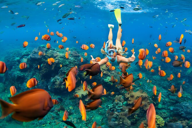 Blue Lagoon Snorkeling - Bali Best Snorkeling Site - Booking, weather, and cancellation advice