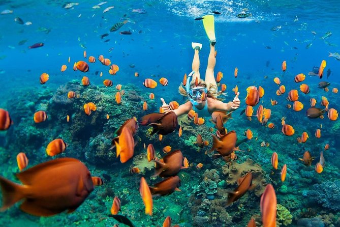 Blue Lagoon Snorkeling - Jungle Swing - Ubud - All Inclusive - What this Bali day combines