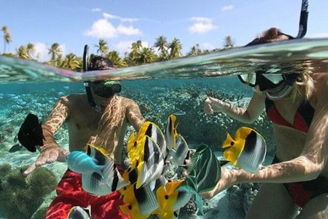 Blue Lagoon Snorkeling - Lunch - Kantolampo - Tibumana Waterfall - What the private format really gives you