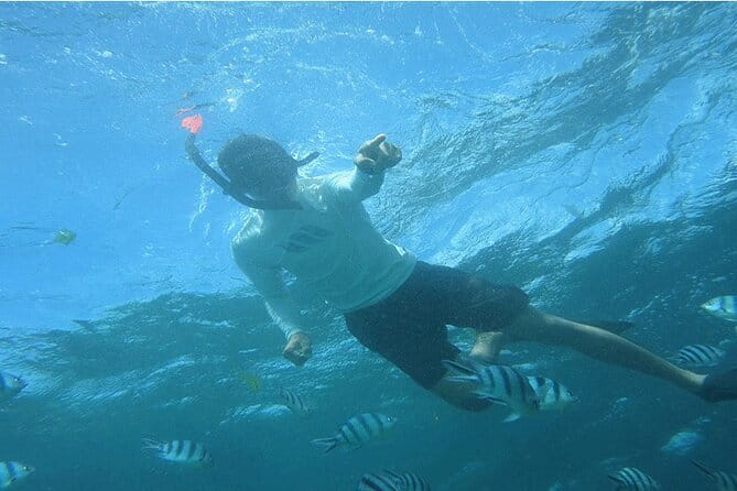Blue Lagoon Snorkeling with Lunch and Private Transport - Tanjung Jepun adds a second underwater setting