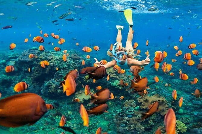 Blue Lagoon Snorkeling with Lunch and Private Transport - What the five-star service tells you