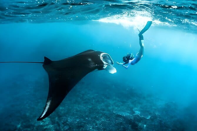 Blue Lagoon Snorkeling with Lunch and Private Transport - Is two hours enough for this outing?