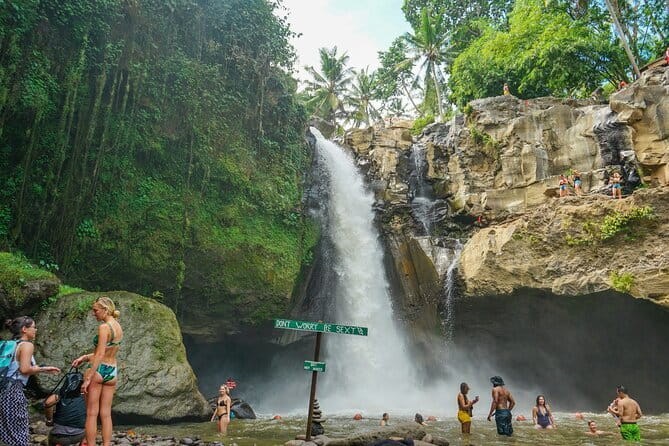 Blue Lagoon Snorkeling with Lunch and Waterfall in Ubud - A private Bali day that covers three different worlds