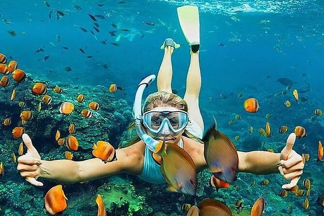 Blue Lagoon Snorkeling with Lunch and Waterfall in Ubud - Lunch and the useful comfort of a private vehicle