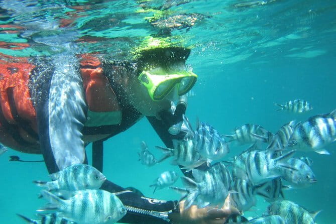 Blue Lagoon Snorkeling with Lunch and Waterfall in Ubud - Why the private format matters