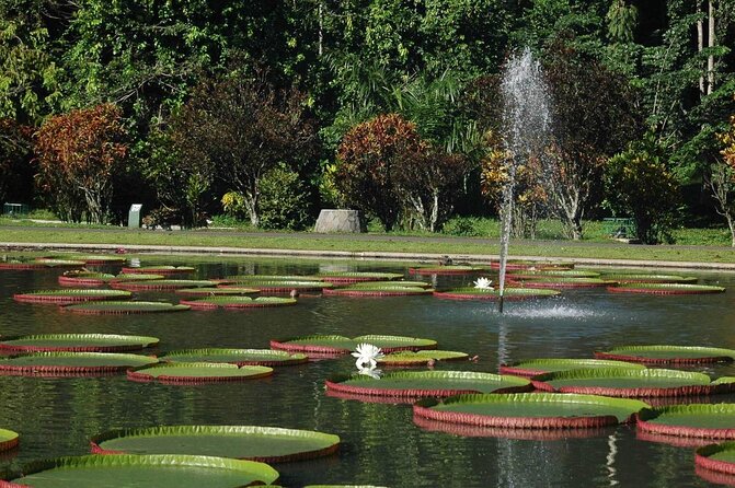 Bogor Botanical Garden & Rainforest Trekking to Hidden Waterfall - Key points to know before you book