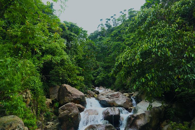 Bogor Botanical Garden & Rainforest Trekking to Hidden Waterfall - Bogor Botanical Garden, a huge green pause