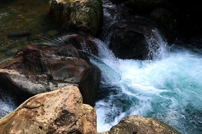 Bogor Botanical Garden & Rainforest Trekking to Hidden Waterfall - Trekking in Gede Pangrango National Park