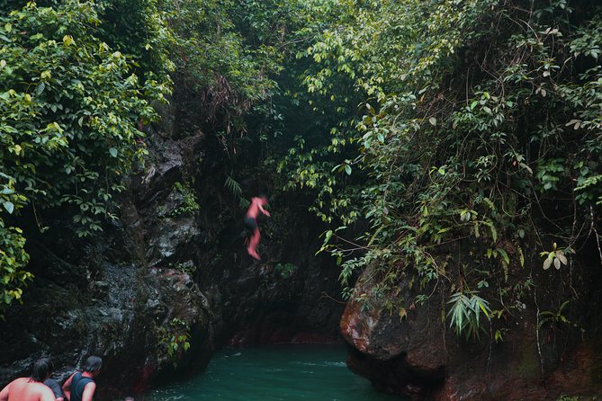 Bogor Botanical Garden & Rainforest Trekking to Hidden Waterfall - Lunch, vehicle, and what the $95 covers