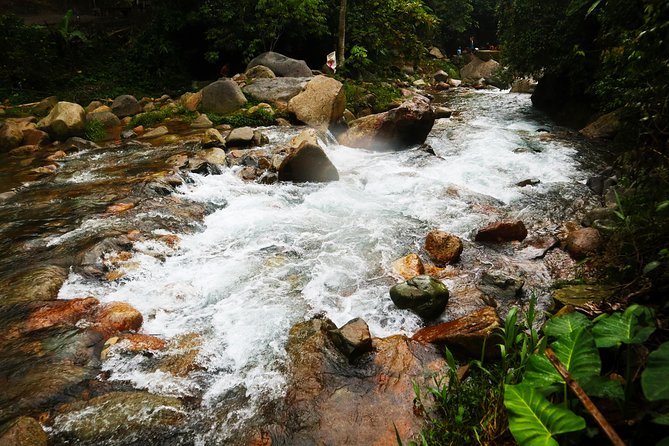 Bogor Botanical Garden & Rainforest Trekking to Hidden Waterfall - Guides, drivers, and the private-tour advantage