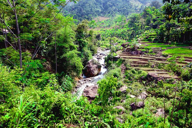 Bogor Botanical Garden & Rainforest Trekking to Hidden Waterfall - Who should book this Bogor day trip?