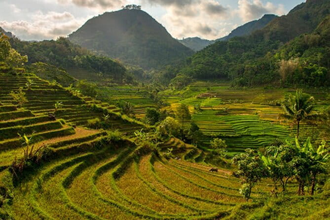 Borobudur Climb Up and Selogriyo Temple Rice Terraces Trekking - Timing, closures, and cancellation details
