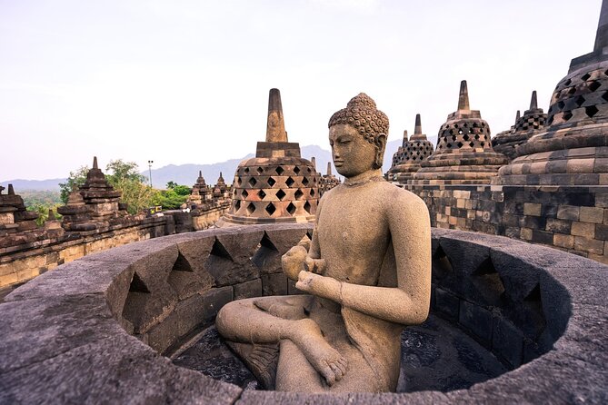 Borobudur Private Tour From Semarang Port - What the reviews reveal about the service