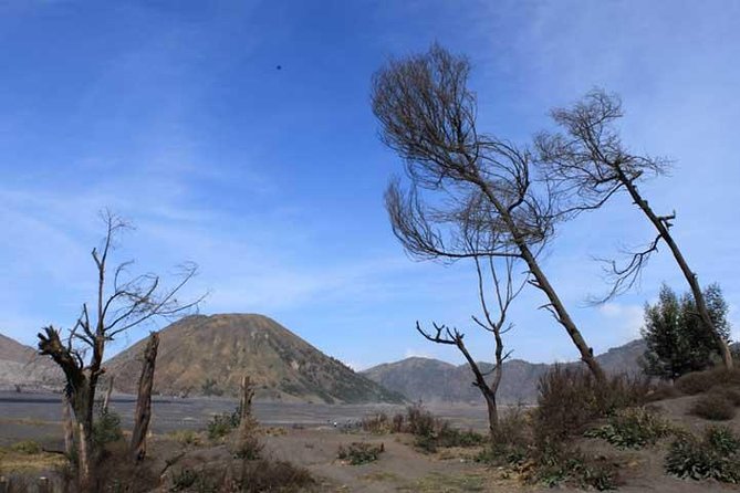 Bromo panorama tour to avoid the crowds - start Malang // 1 day tour - The drive from Malang through Tumpang