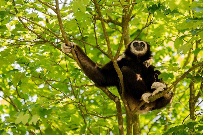 Bukit Lawang Full Day Jungle Trek - Lunch provides a welcome pause