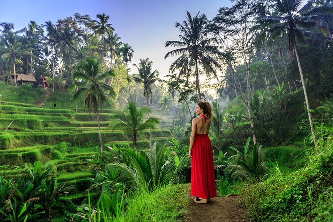 Cave Tubing Adventure & Rice terrace - What the $18.95 price really buys